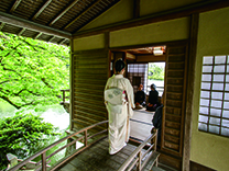 兼六園めぐり | 兼六園観光協会