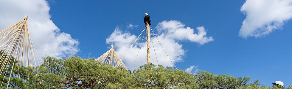 次世代に残したい伝統の技〜特別名勝を守る庭師 | 兼六園めぐり