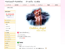 Golden Angel(ゴールデンエンゼル)